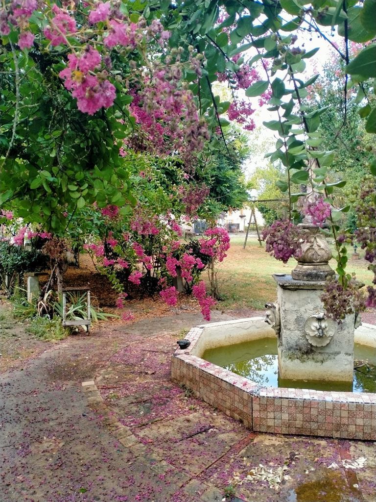 property 20 rooms for sale on BORDEAUX (33000)