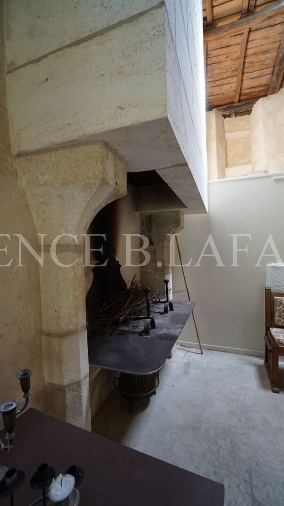 mansion 10 rooms for sale on ST EMILION (33330)