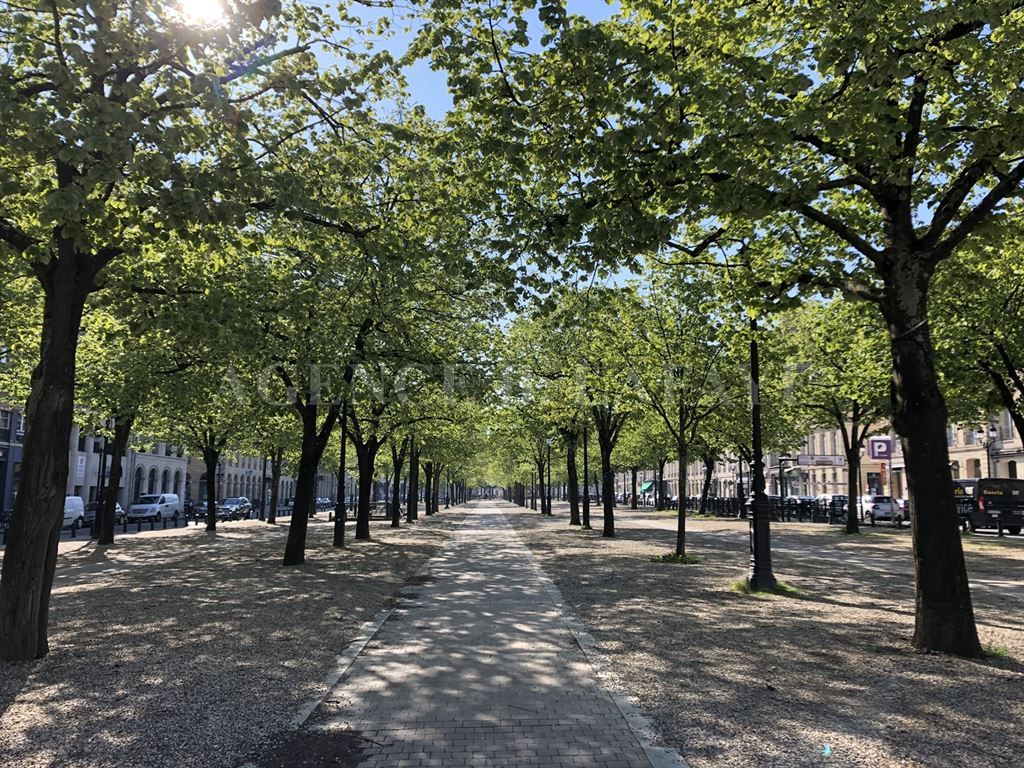 apartment 2 rooms for rent on BORDEAUX (33000)