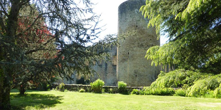 Dans les Landes Girondines, près de Bazas