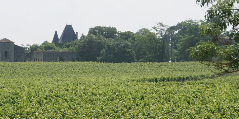 Le Médoc, entre Mer et estuaire et les deux Charentes